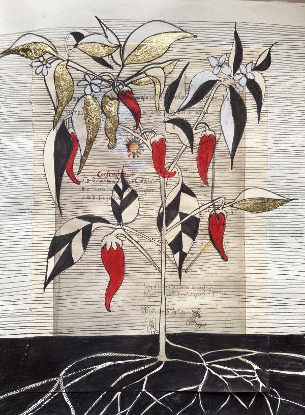 Peperoncino