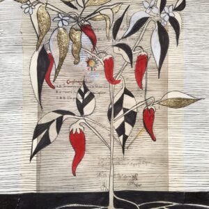 Peperoncino